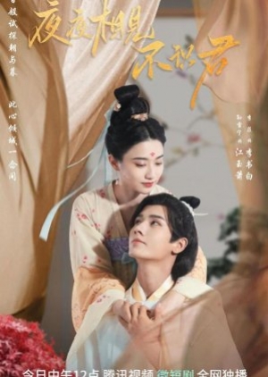 My Decoy Bride (2023) เจ้าสาวข้าเป็นนักฆ่าอันดับหนึ่ง (ซับไทย)